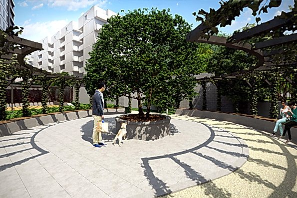 Kartallife Ortak Alan